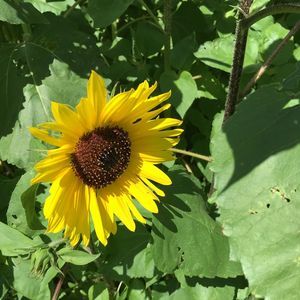 Meet your Posher, Anne